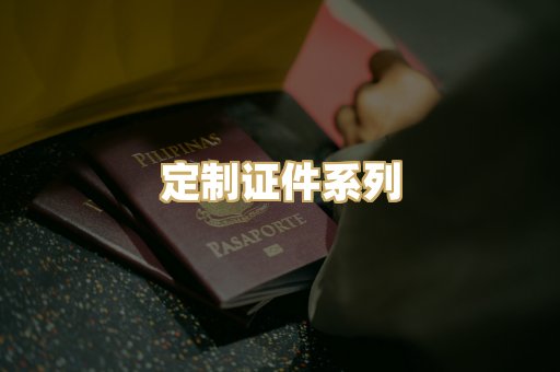 定制证件系列